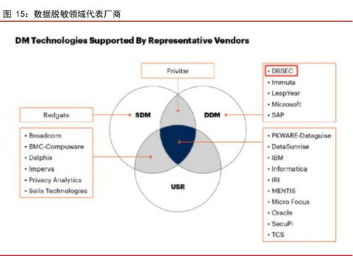 数据安全深度报告 数据安全贯穿数据全生命周期管理,行业领军企业产品矩阵丰富